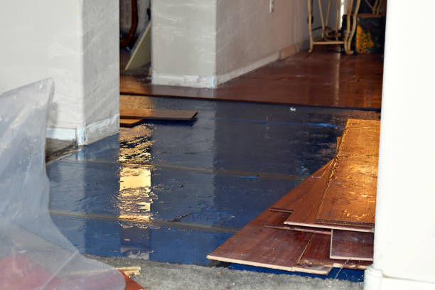 Professional Basement Water Removal technician working in Kincaid, IL